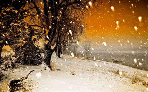 Snowfall Wallpapers 23 - [2560 x 1602]