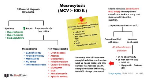 William Aird on Twitter: "AN APPROACH TO MACROCYTOSIS"