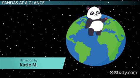 Why Are Pandas Endangered? - Lesson for Kids - Lesson | Study.com