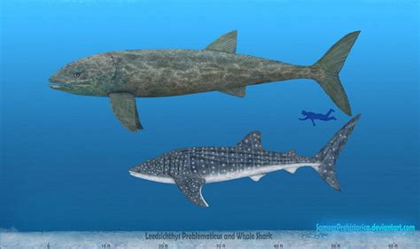 Leedsichthys by SameerPrehistorica on DeviantArt