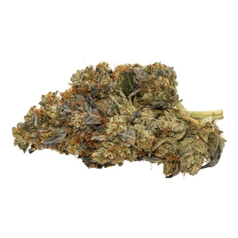 Black Tuna Strain by Weed Deals