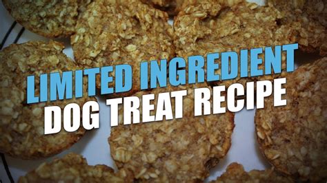 Limited Ingredient Dog Treat Recipe - YouTube