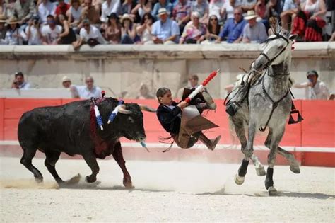 Gruesome moment female matador holds severed ears of bull aloft seconds ...