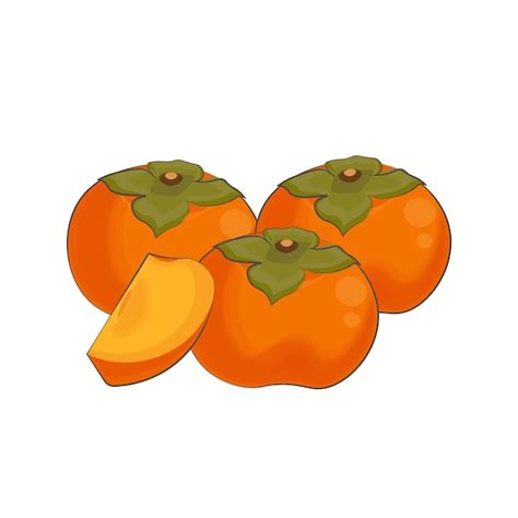 Premium Vector | Vector illustration logo Clip art persimmons fruits