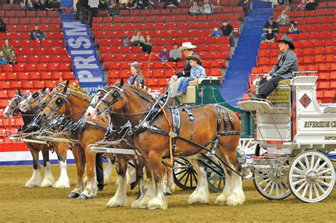 Royal Manitoba Winter Fair takes 50th anniversary virtual - Manitoba Co ...