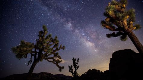 Dark Sky designation puts Joshua Tree National Park in a new light ...