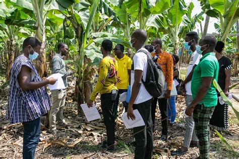 Promoting Food Safety and Sustainable Agriculture in Ghana | Invest for ...