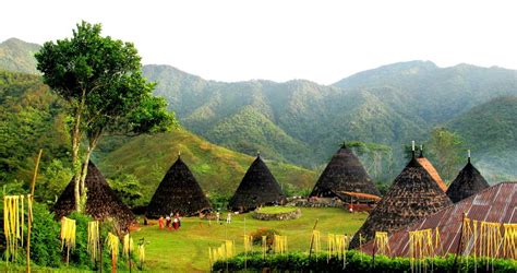 Manggaraian houses in the tribal village of Wae Rebo, Indonesia ...