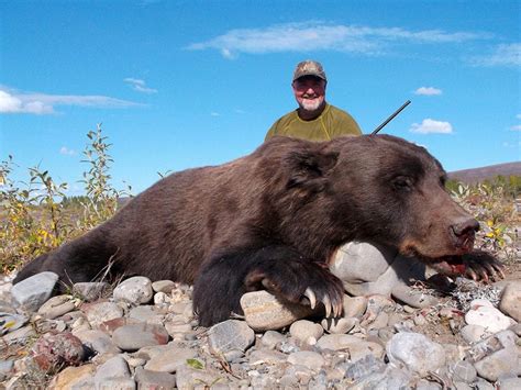 Grizzly Bear Hunting Gallery | Arctic North Guides