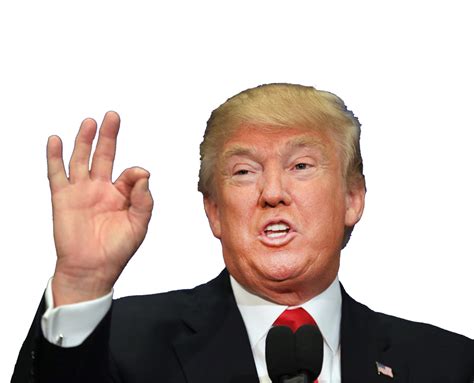 Donald Trump PNG transparent image download, size: 1000x810px