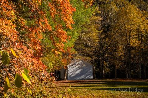 Fall Color and Foliage Guide 2024 | Mountain photos, Fall foliage, Fall colors