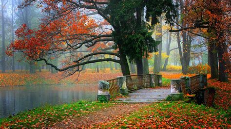 Parc paysage, rivière, l'eau, la forêt, les arbres, les feuilles, coloré, automne Fonds d'écran ...