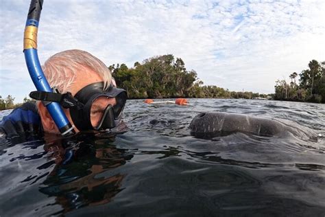 Florida Manatees, Nature Park, And Airboat Tour From Orlando (Mar )