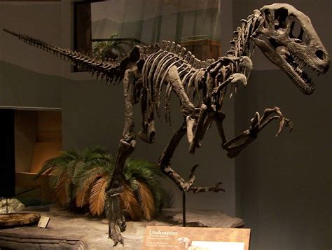 Utahraptor Facts, Habitat, Pictures and Diet