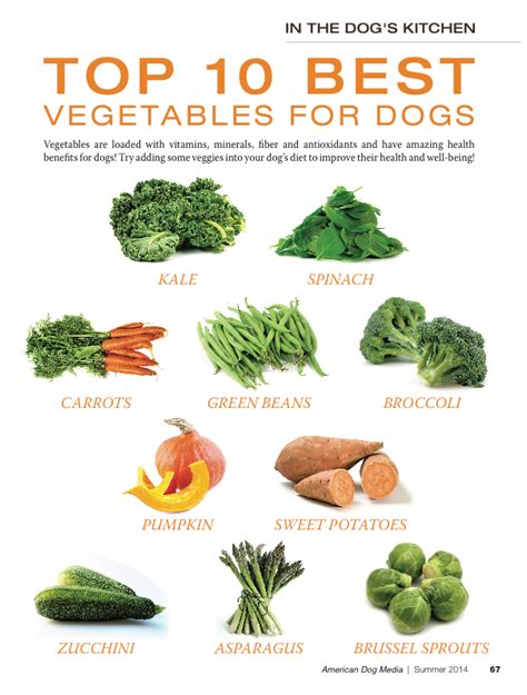 I love My Dog; Natural Pet Health,: Top Veggies for dogs, Fruit treats ...