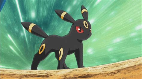 9 Umbreon (Pokémon) Gifs - Gif Abyss