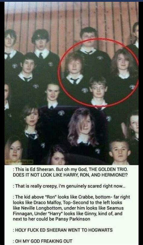 Ed Sheeran went to Hogwarts! Lol! : r/harrypotter