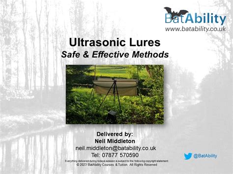 Ultrasonic Bat Lures – Safe & Effective Use