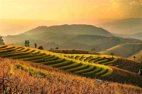 Rice terraces of Chiang Mai, Thailand | Connecting Friends