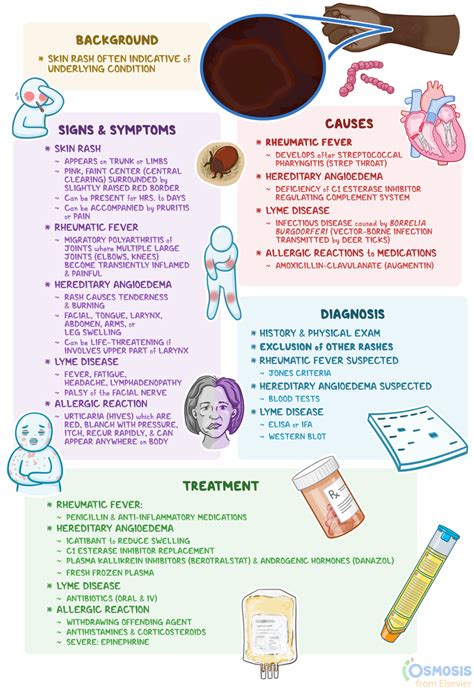 Erythema Marginatum: What Is It, Causes, Signs and Symptoms, Diagnosis, and More | Osmosis