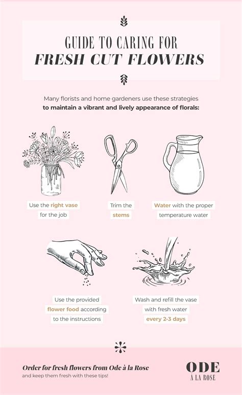 How to Water Fresh Cut Flowers | Ode à la Rose