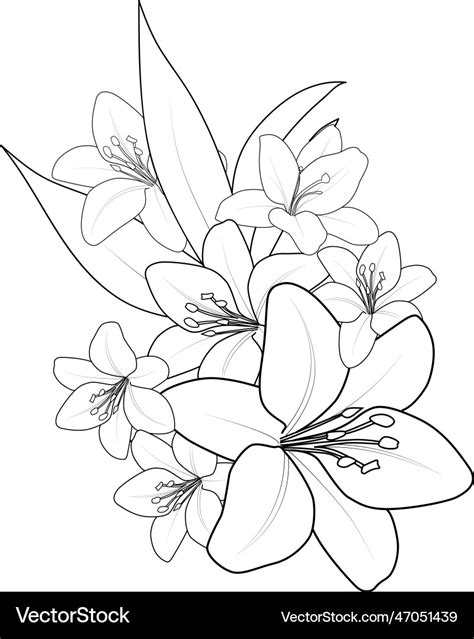 Outline lily tattoo design flower coloring page Vector Image