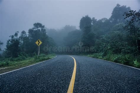 The Road in the Foggy Forest Stock Image - Image of mist, green: 161900329