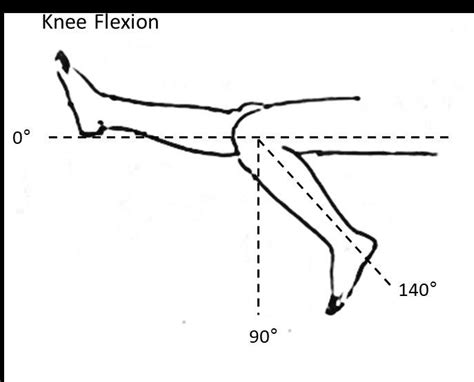 Flexion Extension