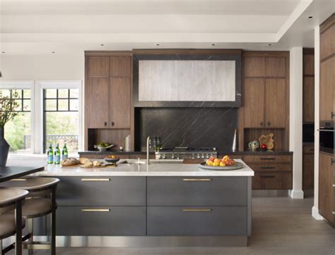 Modern Classic Kitchen Cabinets – Things In The Kitchen