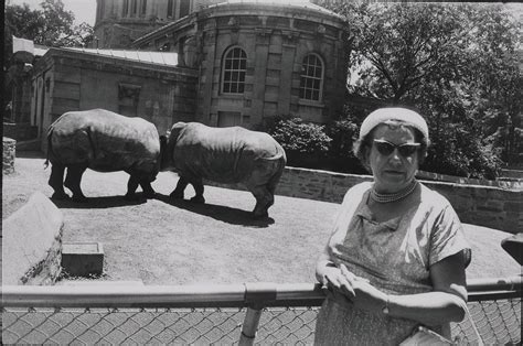 Garry Winogrand The Animals