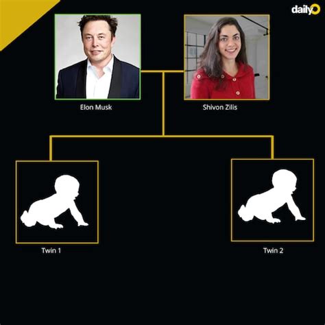 The Elon Musk Family Tree