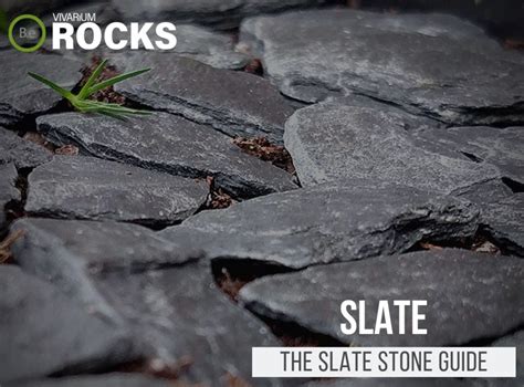 Shale Rock "Claystone" Aquascape | Hardscaping Guide