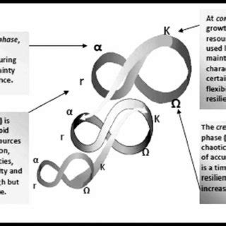 The panarchy model of adaptive cycle. Source: Davoudi, et al... | Download Scientific Diagram