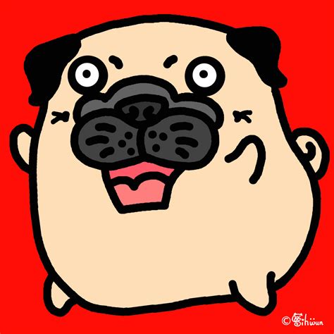 Shocked Pug | Pugs, Pug love, Joy