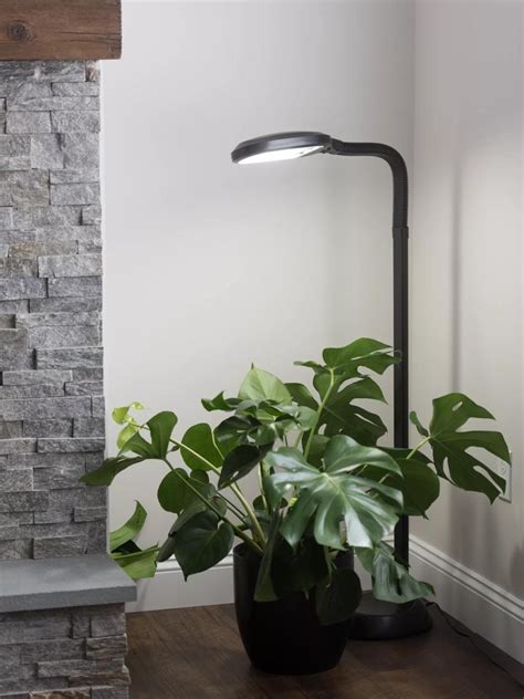 Floor Plant Lamp - Full Specrum CFL Grow Light | Free Shipping