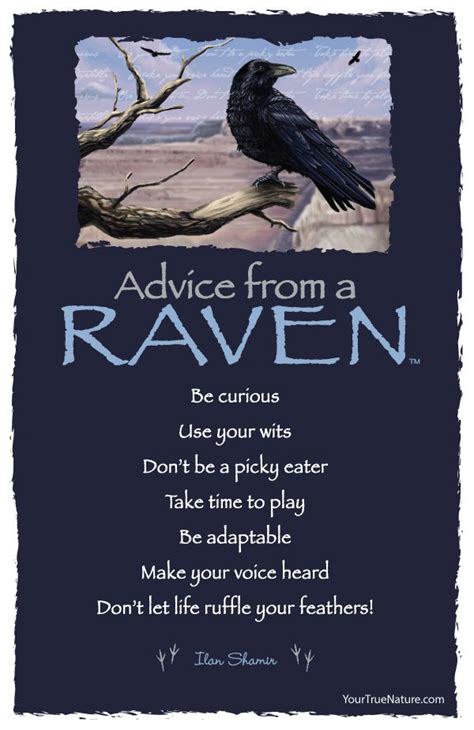 Advice from a Raven - Postcard - Your True Nature | Nature quotes, Crow, Raven