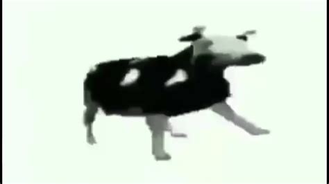 Polish cow dancing - YouTube