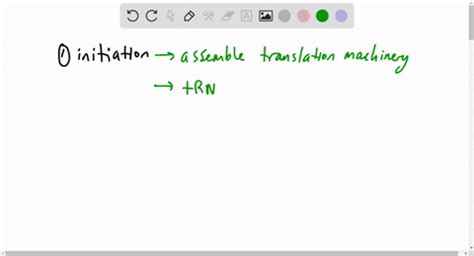 ⏩SOLVED:What are the stages of protein synthesis? | Numerade