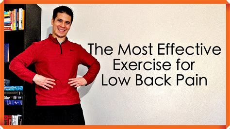 Effective Exercises for Chronic Low Back Pain Treatment - YouTube