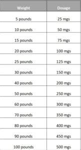 Human Amoxicillin For Dogs Dosage - What You Need To Know! (2024) - We Love Doodles