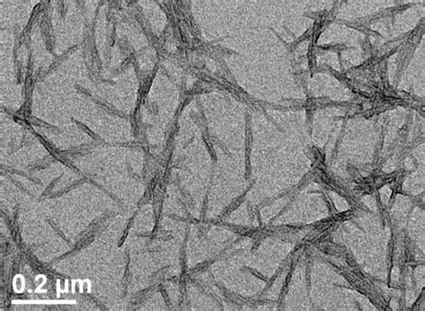 Cellulose Nanocrystals (CNC) – Novarials Corporation