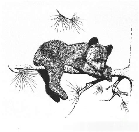 Sleeping Bear Drawing at PaintingValley.com | Explore collection of ...