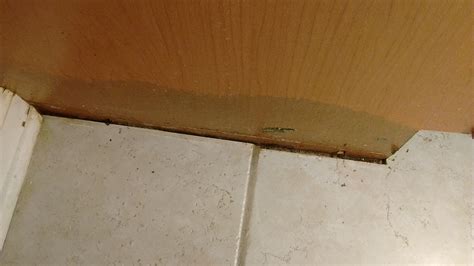 bathroom - How to deal with this water damage - Home Improvement Stack Exchange