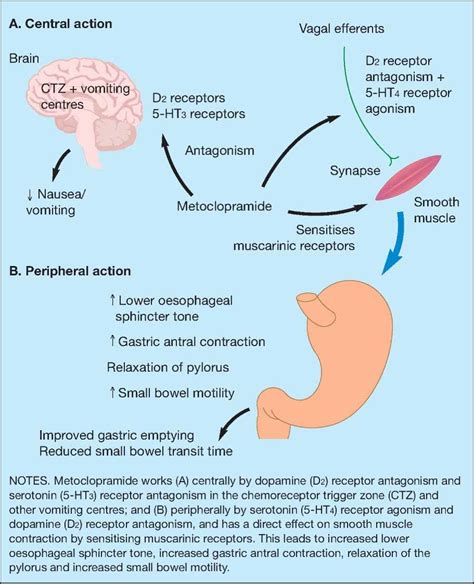 Metoclopramide - Smith - 2011 - Practical Diabetes International - Wiley Online Library