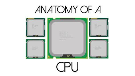 Diagram Of Cpu And Its Parts