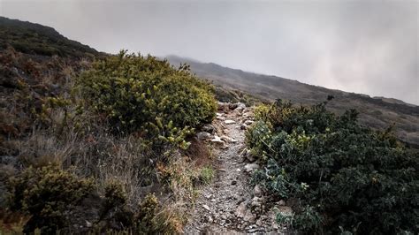 End Of The Trail | View of the end of a hiking trail at the … | Flickr