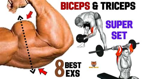 8 Best biceps and triceps AT GYM| SUPERSET TRICEPS & BICEPS - YouTube