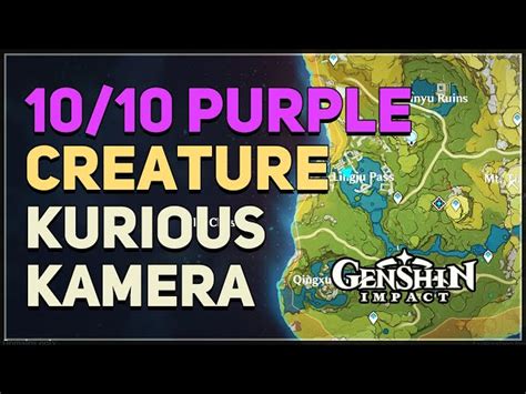 Where to Find the Purple Creature in Genshin Impact - AllGenshin