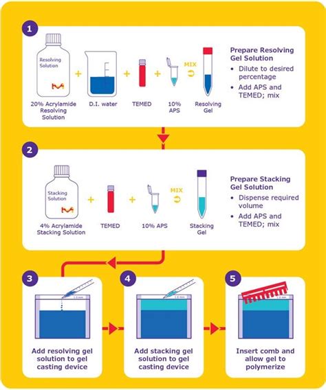 Acrylamide Gel Recipe Calculator | Deporecipe.co