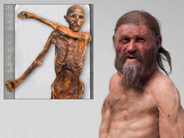 Ötzi The Ice Man: Agriculture Didn’t Do Him Any Favors - Primal Body Primal Mind